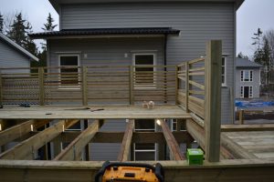 DSC_0018-300x200
